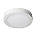 LEDUNI - Panel LED circular 20W 2000LM Color Blanco Frio 6000K Angulo...