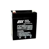 DSK 10378 - Batería Plomo AGM terminal F2 Recargable y Sellada con 12V 5Ah. Batería ideal Para Alarmas del Hogar e Industria, Juguetes Eléctricos para niños, Aparatos de Movilidad, Patinetes, Cercados