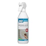 HG Limpiador en Spray para Juntas de Azulejos, Elimina la Suciedad, Manchas y Marcas DifÃ­ciles entre Paredes y Suelos - 500ml (591050130)