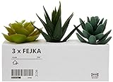 Ikea 203.953.31 FEJKA Juego de Plantas de Escritorio Artificiales en macetas, 6 cm, Paquete de 3 Unidades