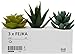 Ikea 203.953.31 FEJKA Juego de Plantas de Escritorio Artificiales en...