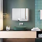 ELEGANTE - Armario de acero inoxidable con espejo para montar en la pared para el baÃ±o, muebles de hogar decorativos y elegantes, Doble puerta-3, 600H x 800L x 120D mm