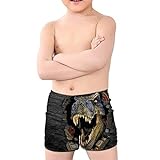Coloranimal Traje de baño de dinosaurio T-Rex para niño adolescente, traje de baño, pantalones cortos de playa, Swinwear de secado rápido, 5-14 años, T-rex Dinosaurio 01, 13-14 Años