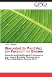 Biocontrol de Marchitez Por Fusarium En Banano: Aislamientos Endofíticos de Trichoderma spp., para el Combate Biológico de la Enfermedad Mal del Panamá (Foc)