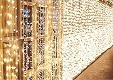 IDESION Cadena de luces 600 LEDs Cortinas de Luz Impermeable 6m * 3 metros Garland 8 Modos de OperaciÃ³n Luz para DecoraciÃ³n de Interiores,Exterior,Boda, Navidad,Fiesta