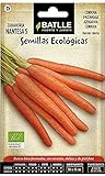Semillas EcolÃ³gicas HortÃ­colas - Zanahoria Nantesa 5 - ECO - Batlle