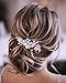 Unicra Silver Wedding Crystal Hair Vines Flor Hoja Tocados Accesorios...