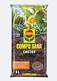 Compo Sana Substrato para Cactus y suculentas con 8 semanas de abono para Todas Las Especies de Cactus y suculentas, Substrato de Cultivo, 5 L, 37x23x5.5 cm, 1122106011