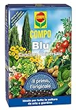 Compo 1301602005 Fertilizantes – Fertilizante Universal, Azul