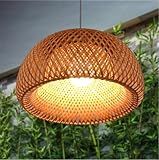 SHIKUN - Lámpara de techo tejida de bambú con pantalla, lámpara colgante de estilo vietnamita, lámpara de techo decorativa para restaurante, pasillo, sala de estar, bar, café, 30 x 18 cm